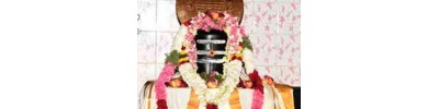 கணபதி விஸ்வநாதசாமி